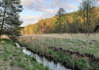 działka na sprzedaż - Tworóg, Boruszowice