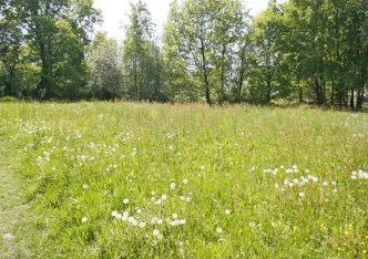 działka na sprzedaż - Pszczyna (gw)