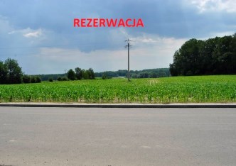 działka na sprzedaż - Wodzisław Śląski