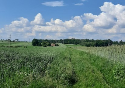 działka na sprzedaż - Zbrosławice, Wieszowa, Bytomska