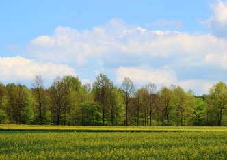 działka na sprzedaż - Toszek (gw), Proboszczowice